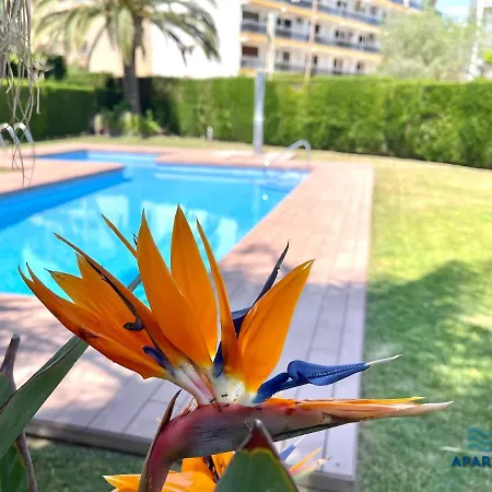 Apartment Apartbeach Panoramic Vistas Playa Y Piscina *